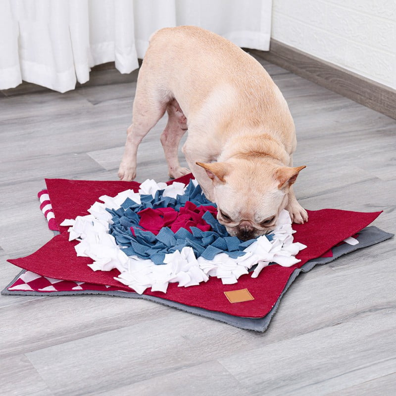 A Book of Saints and Wonders (Paperback)