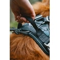 thumbnail image 5 of Hurtta Weekend Warrior Dog Harness, Raven, 18-24 in, 5 of 8