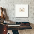 thumbnail image 5 of Epic Art 'White Butterfly' by Photoinc Studio, Acrylic Glass Wall Art, 12"x12", 5 of 9