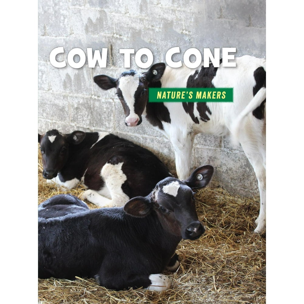 Cow to Cone