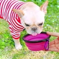 thumbnail image 5 of Juego de 2 comederos portátiles plegables para perros y gatos, ideales para viajes (350 ml, morado y verde)., 5 of 5