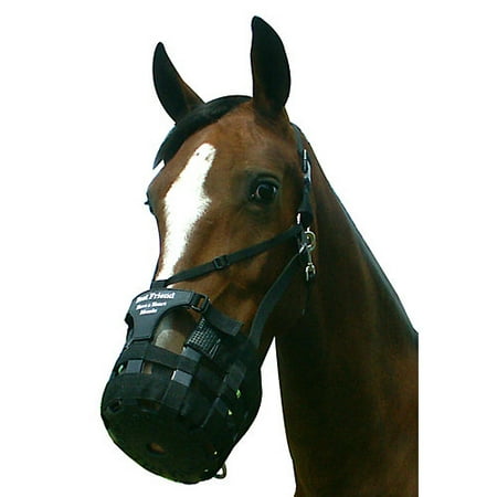 UPC: 0754888058133 | Best Friend Have A Heart Muzzle Horse