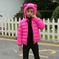 thumbnail image 6 of YYDGH Kids Toddler Baby Boys Girls Winter Coat Bear Hooded Light Puffer Padded Jacket Solid Zipper Windproof Outwear Snowsuit(Hot Pink,2-3 Years), 6 of 9