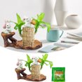 thumbnail image 2 of fsxdhpcsgfc 10ml Brazilian Wood 2025 New Fortune Brazil Wood Potted Brazilian Wood Hydroponic Brazilian Wood Mini Brazil Wood For Desktop Decoration With Tray Random Ornament Assortment Fancy, 2 of 7