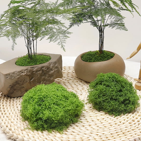 100g Artificial Moss for Crafts - Fake Greenery for Thanksgiving, Christmas & Potted Plants Decor, DIY Floral Arrangements, Terrarium & Holiday Centerpieces