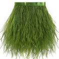 thumbnail image 1 of Soarer Feather Trim, avestruz verde lima, 2 yardas, 13 a 18 cm, 1 of 7