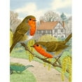 thumbnail image 1 of Carolines Treasures ASA2097GF European Robins Flag Garden Size, 1 of 3