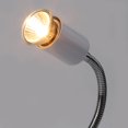 Greensen Reptile Heating Light,Heating Light,75W Heating Light Bulb