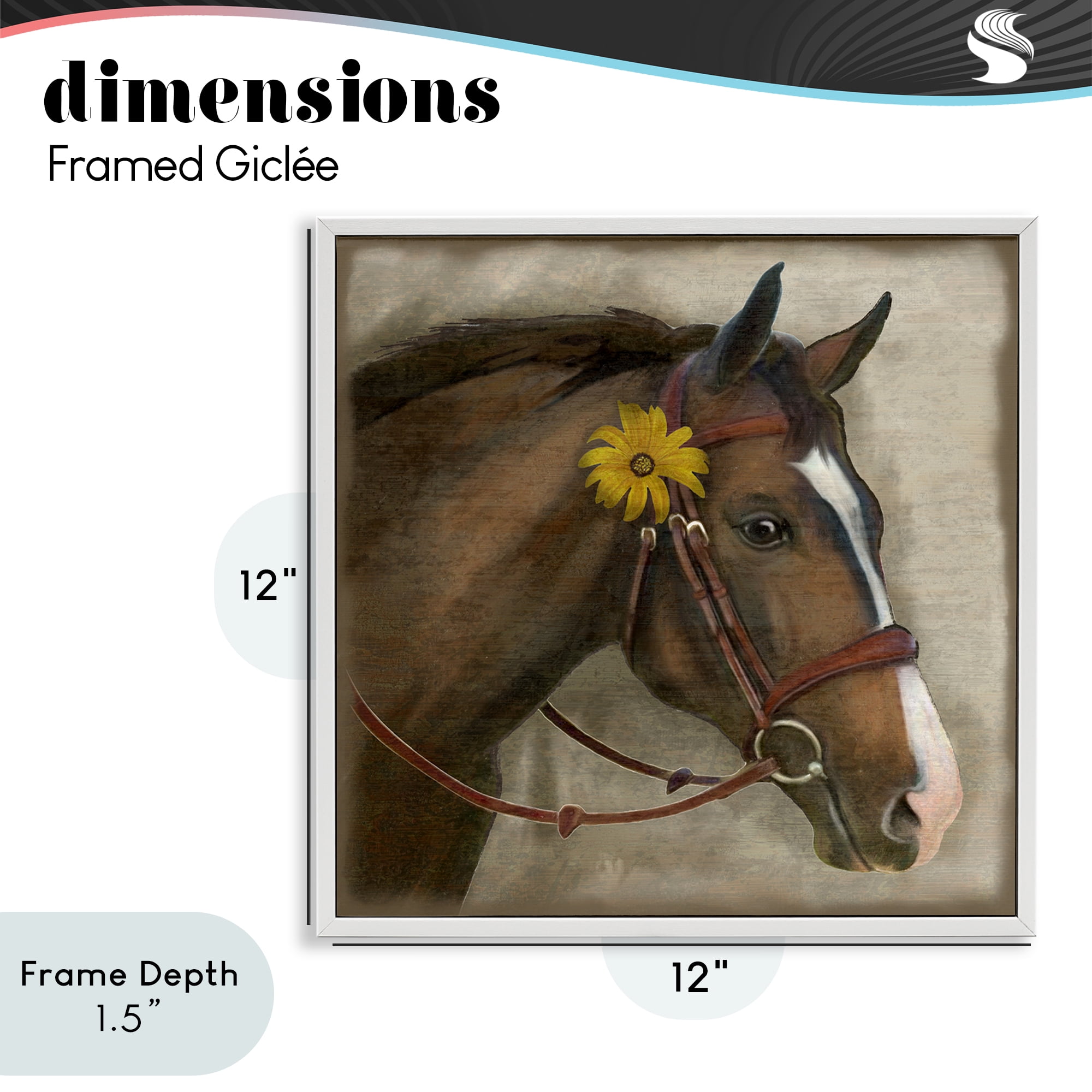 Stupell Industries Barnyard Horse with Daisy White Framed Giclee Art, design by Suzanne Nicoll