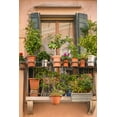 thumbnail image 2 of DeNardo, Laura 11x14 White Modern Wood Framed Museum Art Print Titled - Italian Window Flowers III, 2 of 4