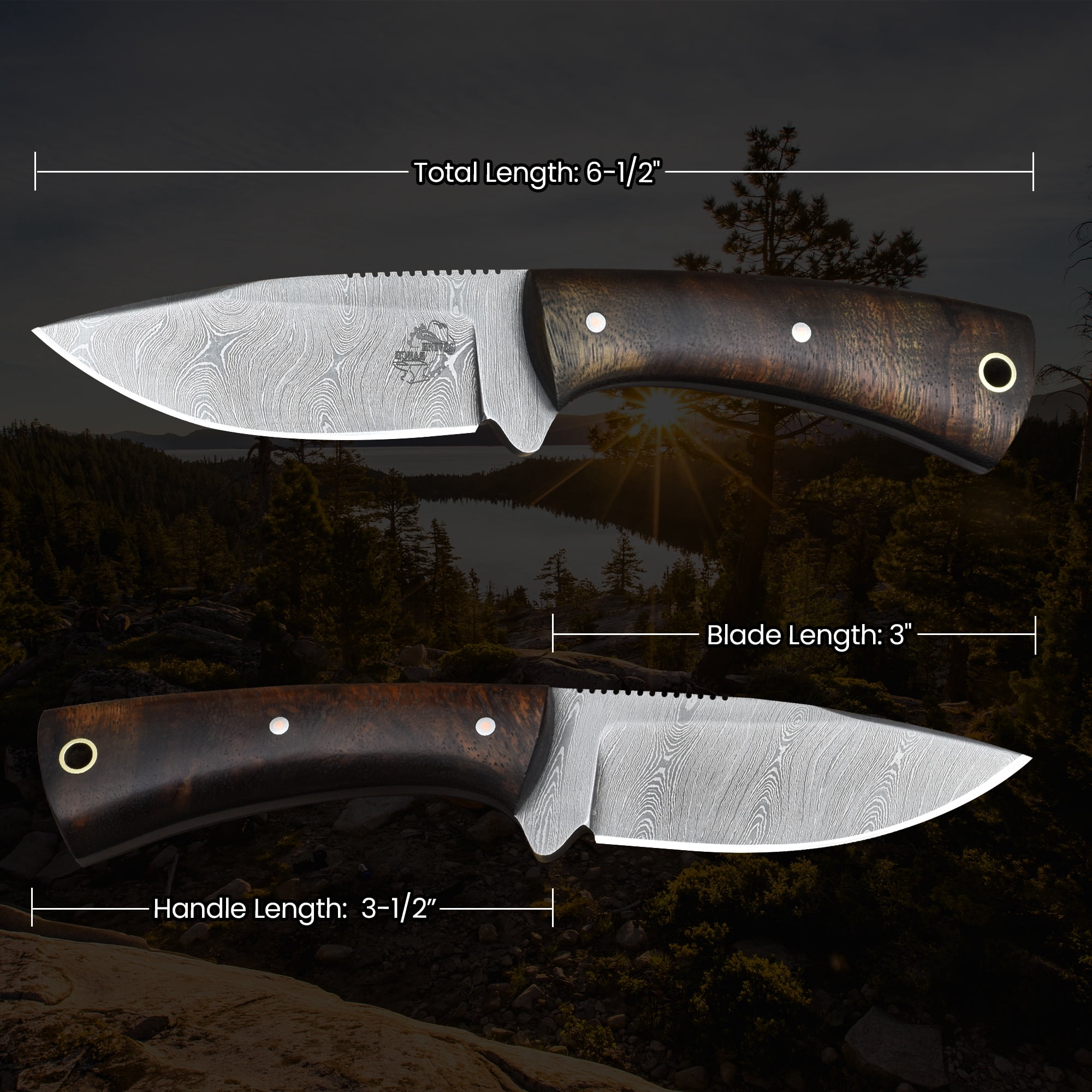 Knives Ranch 4402 Damascus Steel Fixed Blade Knife with Rosewood Handle – Hand Forged Hunting Knife, Razor Sharp Outdoor Camping Survival Knife