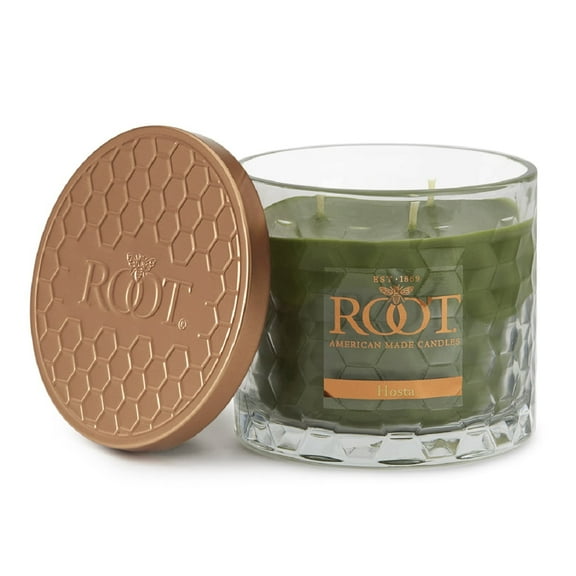 ROOT Candles 12 oz 3-Wick Signature Honeycomb filled Jar. Scent: Hosta