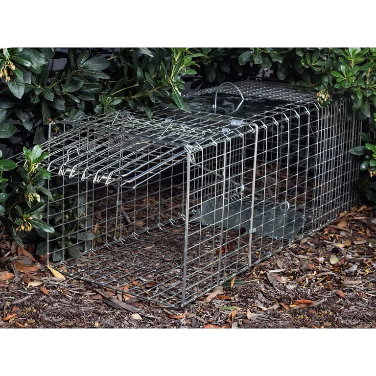 Animal Traps By Harbor Freight