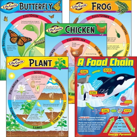 Cycle Combo Pack - Trend, TEPT38934, Life Cycles Learning Charts Combo Pack, 1 Set, Multi