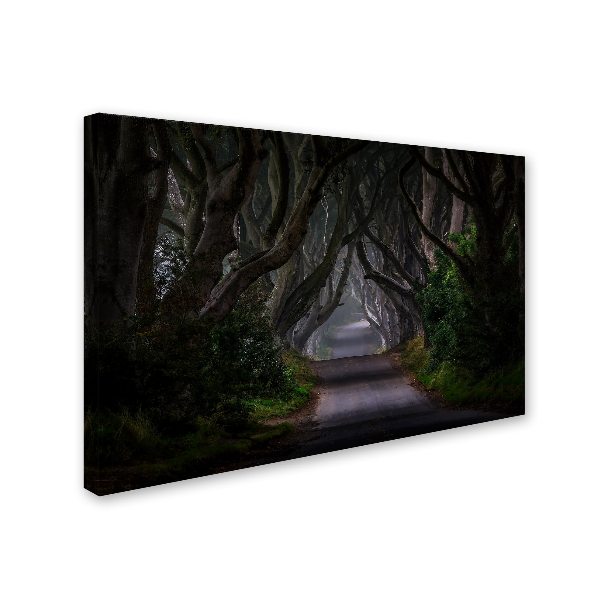 Trademark Fine Art 'Magic Road' Canvas Art by Piotr Galus