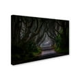 thumbnail image 2 of Trademark Fine Art 'Magic Road' Canvas Art by Piotr Galus, 2 of 3