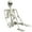 1pc 5.4ft-White, variant on TETOU 3ft Skeleton Halloween Decorations,Realistic Full Body Movable Posable Joints Skeleton, Creepy Plastic Skeleton for Halloween Party Haunted House Props Indoor Outdoor Decor