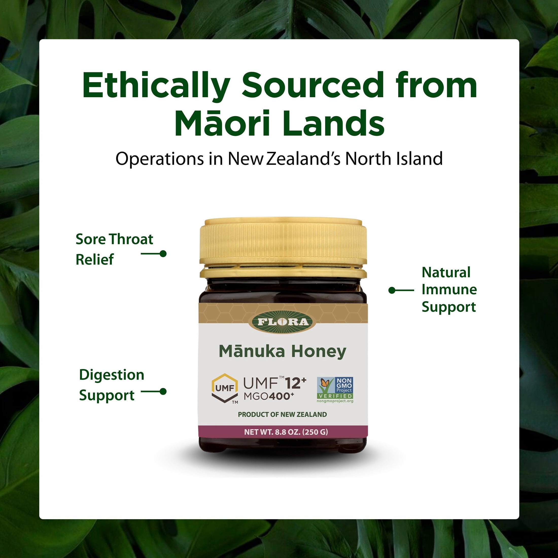 Flora - Mānuka Honey MGO 400+/12+ UMF, New Zealand Honey, 100% Traceable MGO,Natural Healing, Sore Throat Relief, Aids Digestion, 8.8-oz. Jar