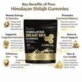thumbnail image 5 of Shilajit Gummies with Ashwagandha, Ginger, Turmeric for Energy & Overall Health Support, 60 Count, 5 of 10