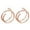 Rose Gold, variant on Hearth & Gear Double Nose Hoop Ring For Piercing Nose Hoop, Nose Ring Hoop For Women, Spiral Nose Hoop For Girls, Nostril Piercing Jewelry Big Stud Nose Rings 20 Gauge Nose Ring Hoop Nose Piercings