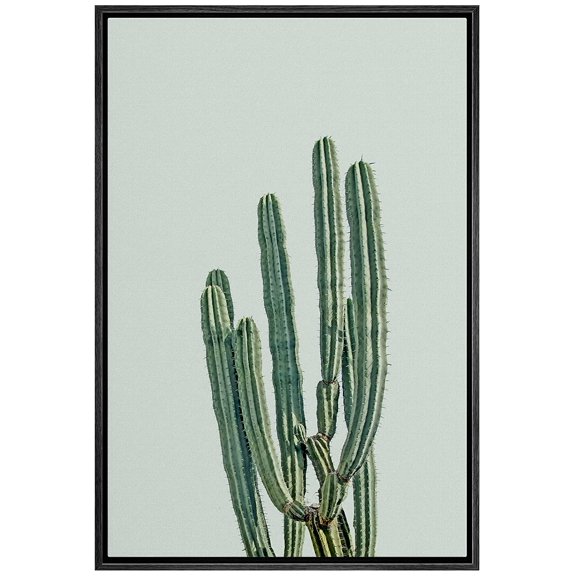 wall26 Framed Canvas Print Wall Art Southwestern Green Desert Cactus Floral Plants Photography Realism Rustic Closeup Colorful Multicolor Ultra for Living Room, Bedroom, Office - 16"x24" Bl