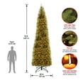 thumbnail image 3 of National Tree Company Artificial Pre-Lit Slim Christmas Tree, Green, Kingswood Fir, White Lights, Includes Stand, 16 Feet, 3 of 5