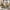 Olive Green, variant on 2-Piece Modern Velvet Upholstered Dining Chairs with High Tufted Back, Comfy Kitchen Chairs with Wood Legs and Nailhead Trim, Accent Side Chairs for Dining Room, Kitchen, Living Room, Golden