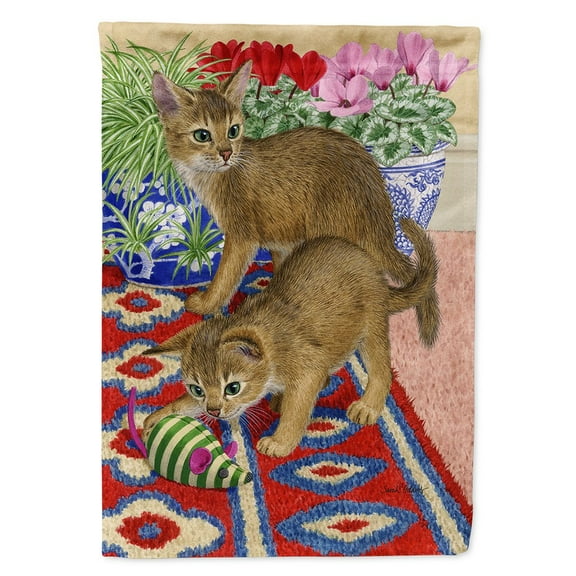 Carolines Treasures ASA2164CHF Abyssinian Kitten Flag Canvas House Size  Large multicolor