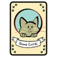 thumbnail image 5 of AEG Cat Lady Card Drafting Game, 2-4 Players, 14+ years, 5 of 5