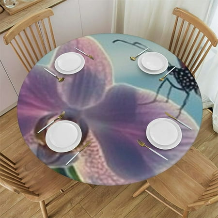 

Autua Butterfly Flower Round Tablecloth Stain-Resistant Washable Indoor Outdoor Table Cloth Ideal for Home Kitchen Parties Holiday Dinner 46 -50
