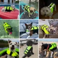 thumbnail image 2 of Chaleco Salvavidas Para Perro Grande Mascotas Seguridad, 2 of 8