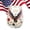 B, variant on Limited Edition USA 250th Anniversary Commemorative Glass 1776-2026 Heritage Patriotic Eagle Whiskey Tumbler American Eagle Commemorative Drinkware Gift for Veterans Collectors