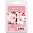thumbnail image 1 of Cubes de cire parfumée ScentSationals - Fleurs de cerisier, 1 of 4