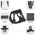 thumbnail image 5 of ZNDUO Retro Abstract Memorial Day Pattern Dog Harness, Adjustable Reflective Pet Harness with Dog Leash, 5 of 8
