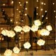thumbnail image 3 of CHAO Bebé Niños Linda Nube Forma De Cara Lámpara Luz De La Habitación Decoración Del Pasillo Pequeña Luz De Noche Halloween Navidad Luces De Cadena De Vacaciones 10 Led Con Batería, 3 of 4