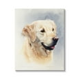 thumbnail image 4 of Stupell Industries Golden Retriever Smiling Portrait Animals & Insects Painting Gallery Wrapped Canvas Print Wall Art, 4 of 5