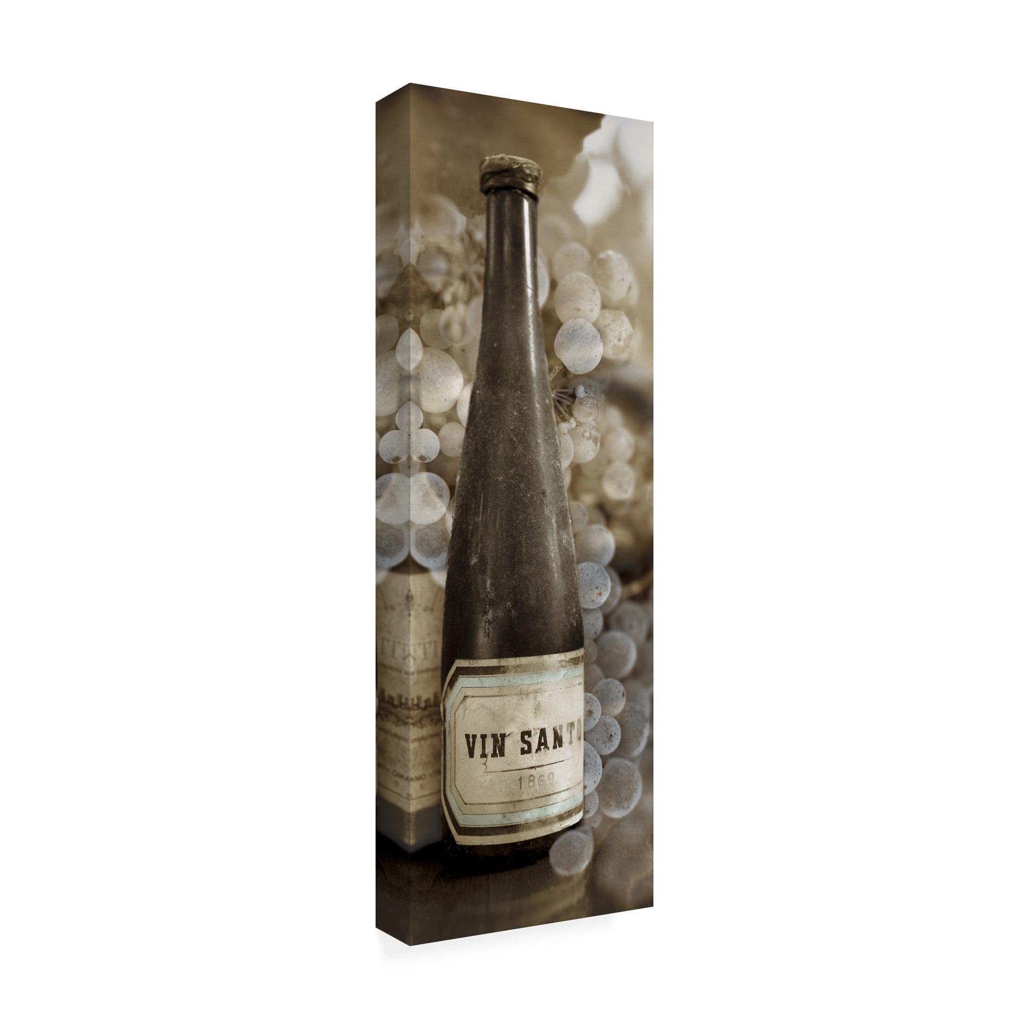 Trademark Fine Art 'Vin Santo #1' Canvas Art by Alan Blaustei