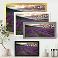 thumbnail image 4 of Designart 'Lavender Field At Sunrise I' Farmhouse Framed Art Print, 4 of 4