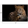 thumbnail image 2 of HFDF Leopard Canvas Prints Black Background Golden Wildlife Animal Leopard Wall Art Cheetah Artwork Pictures for Office Living Room Hallway Paintings Decorations Ready to Hang 14x11inch Framed, 2 of 7