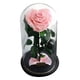 thumbnail image 5 of Plantas Flores Artificiales, Rosas Preservada, Cúpula de Cristal Rosado, 5 of 9