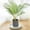 Beige, variant on Specollect Plastic Roller Heavy Duty Trolley Planter Caddy with Wheels Capacity,With Wheels Rolling Stand Plant Pots Indoor and Out Door, Adjustable Movable
