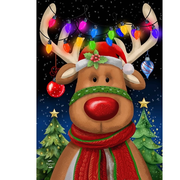 Briarwood Lane Christmas Garden Flag 12x18 For Outdoor Festive Reindeer For Christmas Garden Flag Flags For Outside