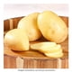 thumbnail image 2 of Papa blanca alfa por kilo, 2 of 5