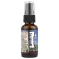thumbnail image 2 of WishGarden Herbs Kick-Ass Throat Spray, 1 fl oz (30 ml), 2 of 4