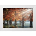 thumbnail image 1 of Nesvetaylov, Dmitry 18x13 White Modern Wood Framed Museum Art Print Titled - Sunny Cypress Trees, 1 of 4