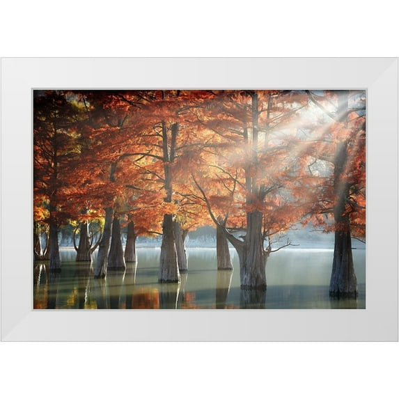 Nesvetaylov, Dmitry 32x22 White Modern Wood Framed Museum Art Print Titled - Sunny Cypress Trees