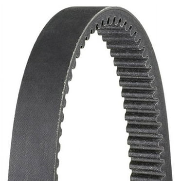 Dayco - HP High Performance Drive Belt