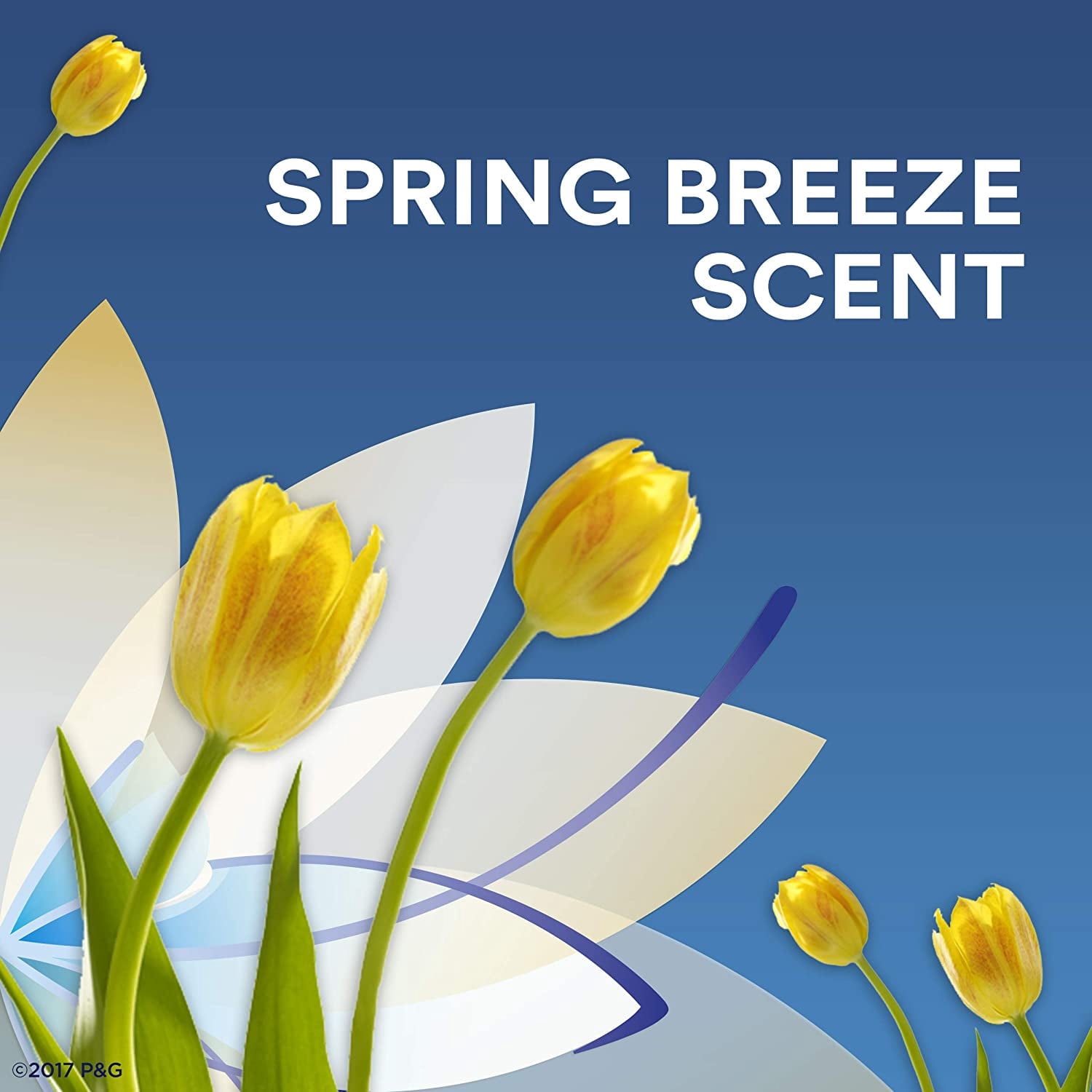 Secret Sld Inv Sprngbrz Size 2.6z Secret Solid Invisible Spring Breeze 2.6z Ea (Pack of 6)