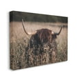 thumbnail image 3 of Stupell Industries Highland Cattle in Tall Grass Animals & Insects Photography Gallery Wrapped Canvas Print Wall Art, 3 of 5