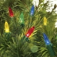 EZ Illuminations 24.5' Color Sync Plus 8 Function LED M5 Christmas